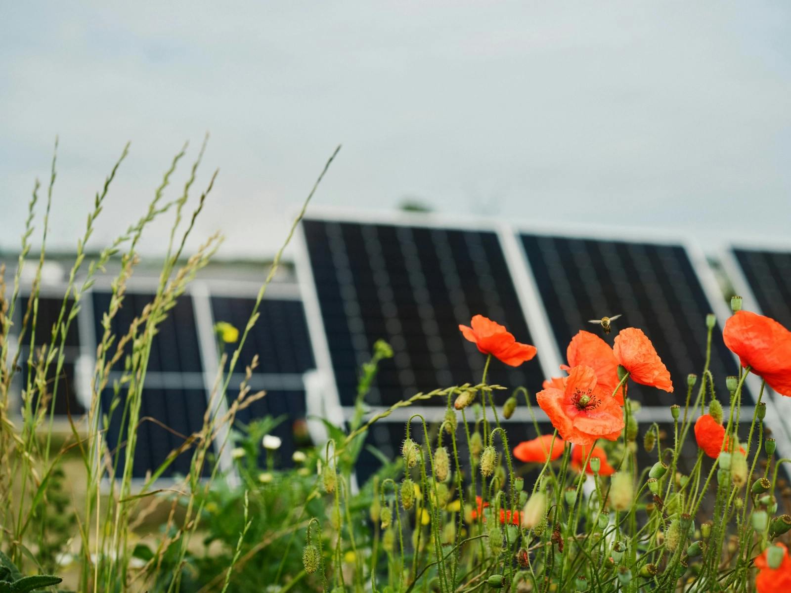 New credit agreement between Nordic Solar and Jyske Bank supporting energised Højby solar park