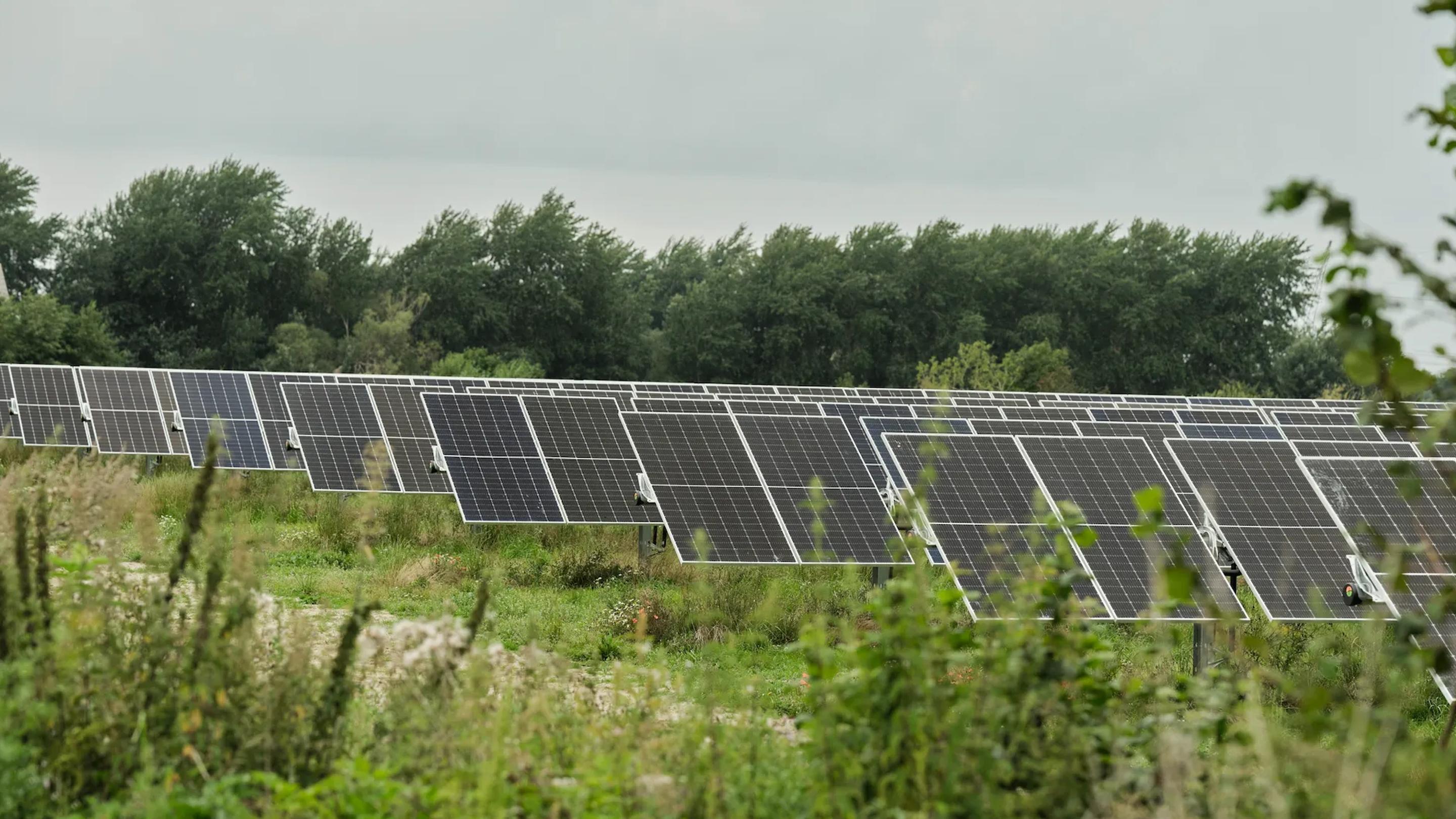 Højby solar park